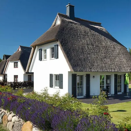 Ferienhaus Ferienhaus Seeschwalbe 5